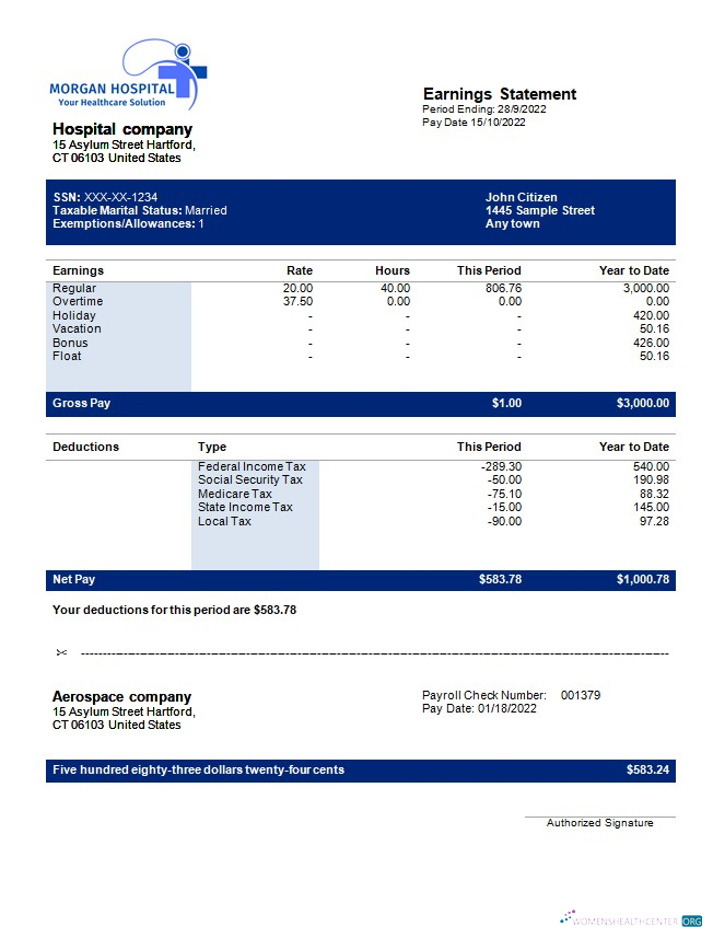 Download hospital company earning statement in Word and PDF formats Photoshop template